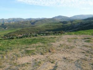 La Forêt de Jijel au printemps