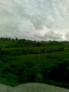 Verdure de Jijel au printemps