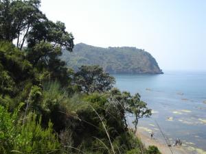 Verdure sur la baie de Jijel