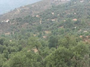 Dechra Ouled Messaouda à Beniftah (Périphérie de Jijel)