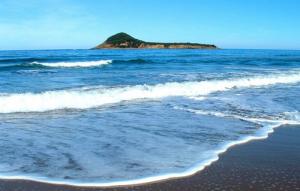 Ile de Cavalo (Côte de Jijel)