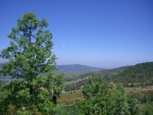 Forêt de Ouled Askeur (Wilaya de Jijel)