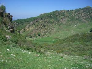 Verdure sur la commune de Boussif Ouled Askeur