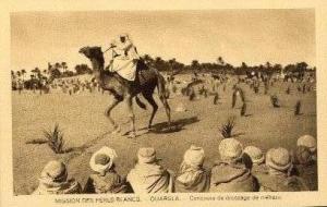 صورة قديمة لسباق الإبل (الفترة الإستعمارية)