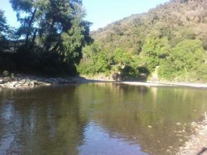 Verdure sur la côte de Jijel