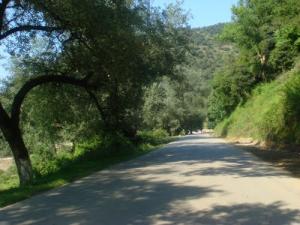 EL ML'AQUI SUR LA ROUTE DE BOURAOUI BELHADEF