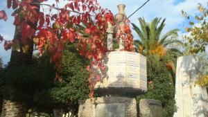 Square du Village de Ziama Mansouriah
