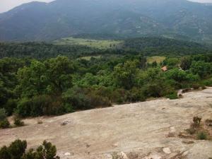 Vue d'ensemble sur la forêt de Bouraoui Belhadef