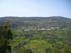 بلدية المروج في فصل الربيع