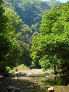 Oued Dar El Oued (Commune de Ziama Mansouria / Wilaya de Jijel)