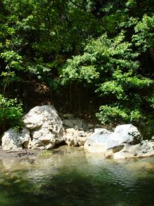 Oued Dar El Oued (Commune de Ziama Mansouria / Wilaya de Jijel)