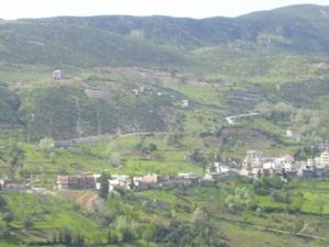 الحقول الخضراء المحيطة بقرية المروج