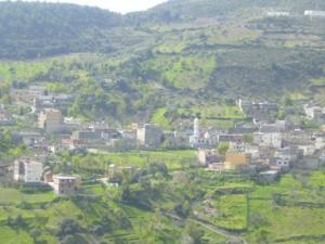 صورة لمسجد قرية المروج