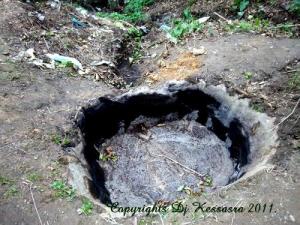 El-Djabia (Utilisé pour l'extraction d'Huile d'Olive)