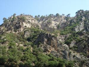 Verdure des Montagnes de Jijel