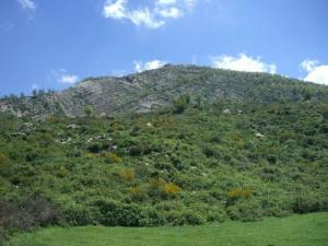 عمل تطوعي لأشغال ذات منفعة عامة بقرية  أغمرت  5