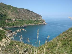 Les falaises côtières de Ziama Mansouria (Wilaya de Jijel)