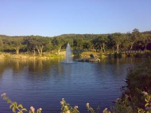 Jet d'eau au Parc Animalier de Jijel