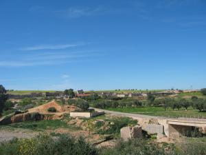 منظر من بلدية  طابية