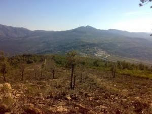 Région de Lemcid dans la commune de Bouraoui Belhadef