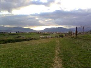 Entre le village de Tleta et Mechta El Ghedir