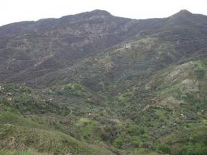 Ouled K'hlass et les Seddets (Wilaya de jijel)
