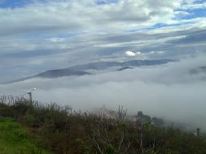 Brouillard sur la forêt de Jijel