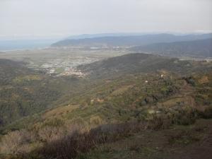 Vue sur la forêt de Bouameur (Wilaya de Jijel)