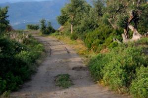 Un sentier dans les hauteurs entourant Jijel
