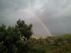 La route vers  Hamza