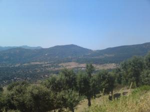 La forêt de Beni Ftah (Wilaya de Jijel)