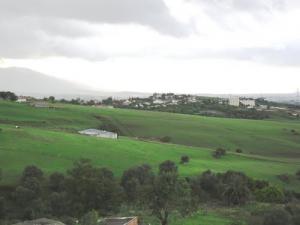 Verdure sur la commune de Chefka