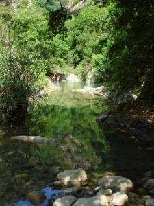 La Rivère de  Dar El Oued (Commune de Ziama Mansouria / Wilaya de Jijel)