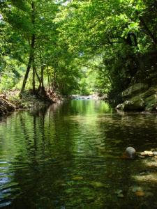 La Rivière de Dar El Oued (Commune de  Ziama Mansouria / Wilaya de Jijel)