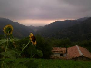 Les montagnes Vertes de Tizeghban (Wilaya de Jijel)