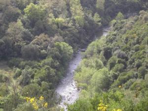 Vue sur Oued Tamendjar traversant la forêt de Jijel