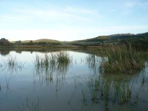 Eaux paisibles à Cavalo