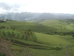 Les Vertes vallées Jijeliennes