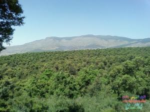 Vue générale du montagne de Bouâchba