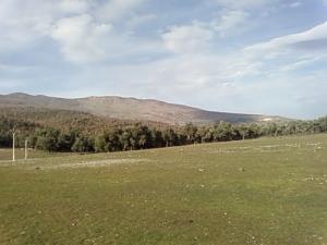 Tourisme Forestier à Oualbene