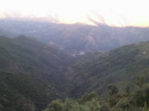 La Forêt de Oued Djendjen (Wilaya de Jijel)