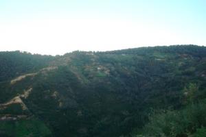 Les vertes Montagnes de Jijel