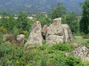 Roches Naturelles au coeur de la Forêt de Ouled Askeur