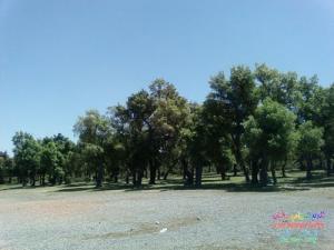 Tourisme forestier à Oualbane (Wilaya de Jijel)