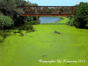 Oued Djendjen au niveau pont reliant Tassoust -Taher (au fond, ancien pont). Commune Emir Abdelkader