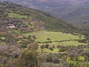 La verdure de Jijel au printemps