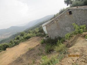 Un antique moulin à grain aux alentours de Jijel