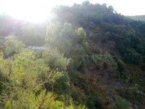 Verdure de Jijel