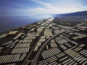 Vue aérienne sur la culture en serre sur la côte de Jijel