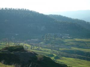 Verdure de Tibhiran  (Wilaya de Jijel)